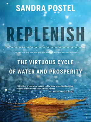Replenish - ebook